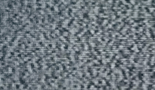 Picture-6.gif